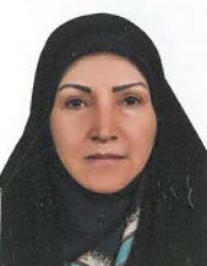 بتول گلزاری سرخه