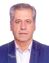 محمد حسین صالحی سده