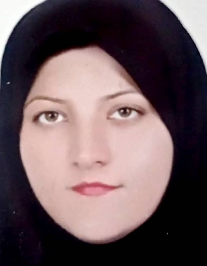 ویدا میری