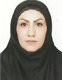 سیده هاجر مصطفوی گرجی
