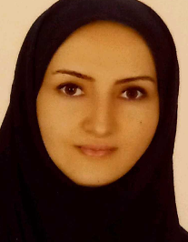 وحیده صالح میرحسنی