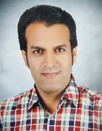 هادی احمدی