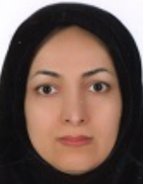 سیده نجمه نوربخش