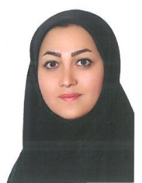 مریم محبی شیخلری