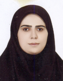 سیده مریم حسینی
