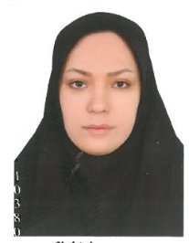 پریسا سادات برهانی نائینی