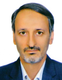 مجتبی ناجی زواره
