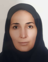 فرشته امیری اصل