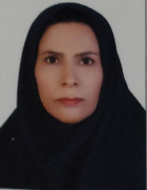 طیبه نصیری فارسی