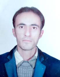 رضا وحیدی