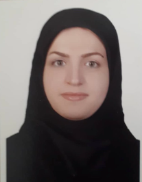 مریم مجلسین