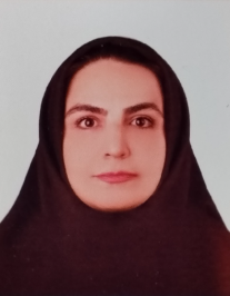 مینا غلامی