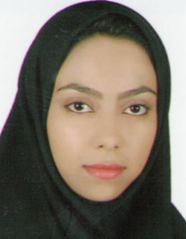 پریسا امینی