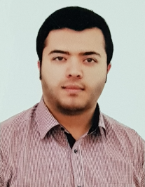 محمدحسین گیوه ئی