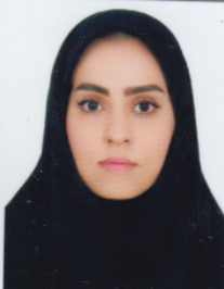 سولماز نجفی