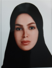 مریم زندی سلطانی فر