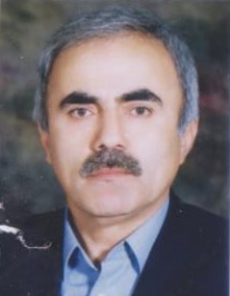 محمد رضا مستوفی