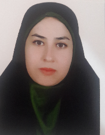 سیده هایده حسینی