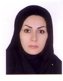 مهین ملک زاده