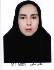 نازیلا محمودی سبک بار