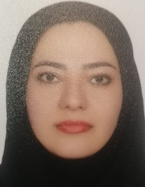 انسیه سلطانی امین