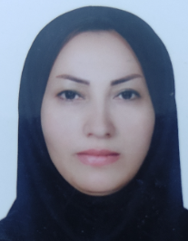 دلبر کردزنگنه