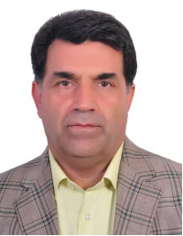 علی اکبر ملکی راد