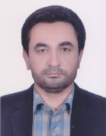 حمید نیکدل
