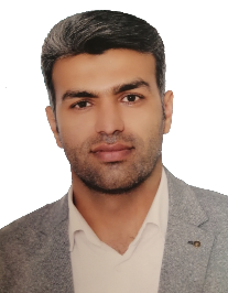 سید محمدرضا میرعمادی
