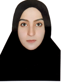 سیده هاجر میراحمدی باباحیدری