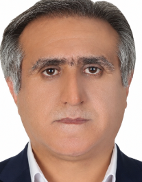 حسین ناصرامینی مغانلو