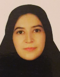 پریسا میراحمدی