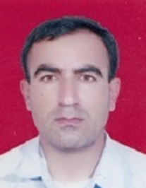 سید علی عارف نیا