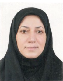 سیده صغری نوری رحیم آبادی