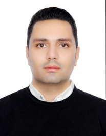 حسام انصاری