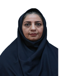 نرگس ابوطالبی