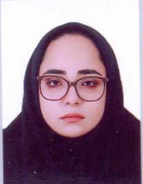 نگین نجم الدینی