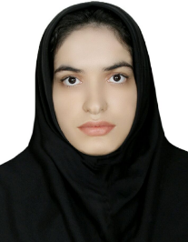 متین بیگی