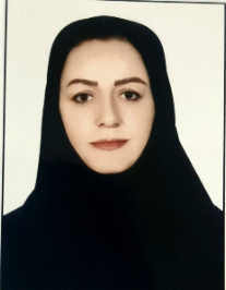 نجیبه حسین زاده