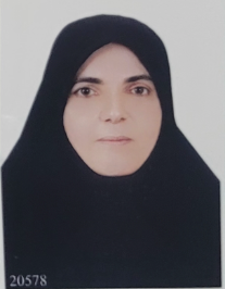 مرضیه حاتمی فارفار