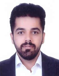 محمد رضوی