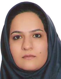افسانه امیری