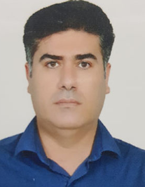 رضا افضلی