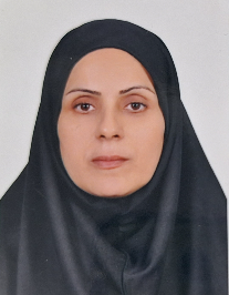 خیرالنساء خیابانی