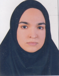 مینا محمدی سلیمانی