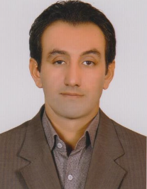 مجتبی محمدی کشانی