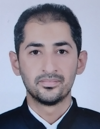 سید امید رضا مدرسی
