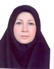 کبری حمزه پور