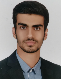 حسین معاوی