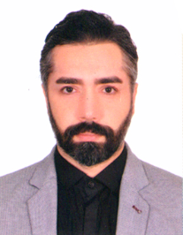 مجتبی پورآقا